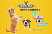 小狗一直发抖像打冷颤一样(小狗一直发抖怎么办)