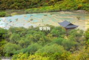 爱狗狗