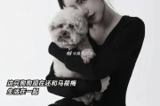 震惊！原来幼犬柯基是灰色毛，几个月后大变样！