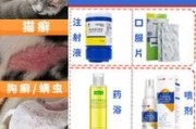 白醋治疗狗狗皮肤病绝了,废机油治疗狗癣有用吗