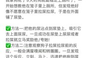 德牧怎么训练不咬人,德牧怎么训练定点排便