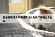 兔子打喷嚏怎么办(兔子打喷嚏鼻子噗噗声)