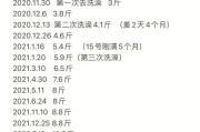 比熊体重对照表：不同月龄的比熊犬体重参考