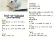 小狗多大可以驱虫最好,小狗多大可以驱虫体外