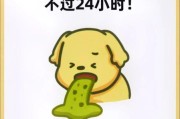 狗狗狗狗狗狗吃饭视频,狗狗狗狗不能吃什么东西