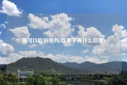 猫可以吃核桃吗(吃多了有什么后果)