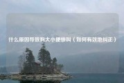什么原因导致狗大小便惨叫（如何有效地纠正）