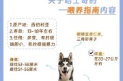 哈士奇吃什么狗粮好？选对狗粮很重要！