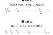 狂犬疫苗打多久？五针和四针疗程区别解析