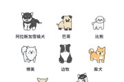 小狗的特点,小狗的特点和性格
