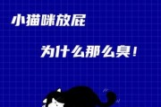 猫咪会放屁吗怎么感觉有股臭味,猫咪会放屁吗怎么感觉有股臭气