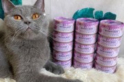猫可以吃蓝莓吗会死吗,猫可以吃蓝莓吗m