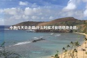 小狗几天会走路(什么时候才能稳稳地走路)