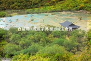 仓鼠可以吃瓜子吗(能当成主食吗)