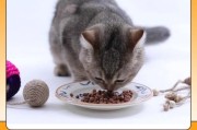 猫粮狗粮人能吃吗,狗粮人能吃么