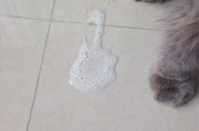 猫中毒了有什么症状,猫中毒吐了白泡沫能活多久