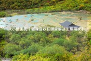 大小便困扰（猫咪喜欢在哪里解决生理需求）