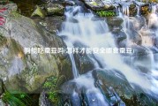 狗能吃蚕豆吗(怎样才能安全喂食蚕豆)