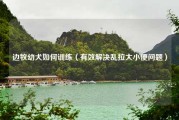 边牧幼犬如何训练（有效解决乱拉大小便问题）