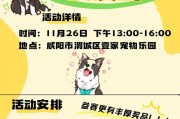 波奇网打造宠物全方位生态圈,波奇网为宠物爱好者打造专属乐园