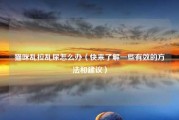 猫咪乱拉乱尿怎么办（快来了解一些有效的方法和建议）