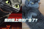 猫包带猫可以上地铁吗,猫可以上地铁吗 背着书包