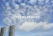 45天怎么看出来狗狗怀孕没