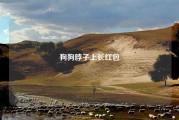 狗狗脖子上长红包