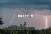 博美多少元一只