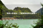 狗狗14岁呕吐（了解原因和应对措施）