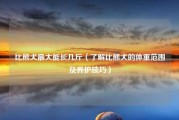 比熊犬最大能长几斤（了解比熊犬的体重范围及养护技巧）