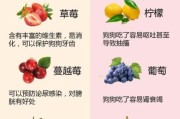 狗狗忌口的食物一览表,小狗可以吃蛋糕吗没奶油