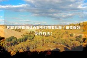 如何判断狗狗体内有虫并带来贫血（推荐有效治疗方法）