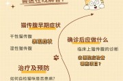 猫传腹是怎么引起的,猫传腹是怎么得的呢