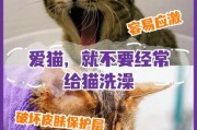 小猫咪洗澡,猫可以洗澡吗