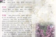丁香什么时候开花春天还是夏天(丁香花的寓意和象征)