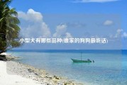 小型犬有哪些品种(谁家的狗狗最听话)
