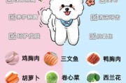 比熊能吃南瓜吗？科学解答比熊饮食中的南瓜问题