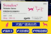 猫发烧吃什么药最好,猫发烧吃什么药可以