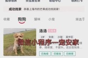 去哪找免费领养宠物的平台？这几个地方看看！