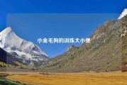 小金毛狗的训练大小便