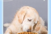 狗狗可以吃猫粮吗(对狗狗健康造成隐患)