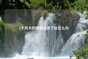 2个月大的博美吃多了吐怎么办