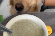 豆沙适量喂狗狗,狗狗吃豆沙要注意