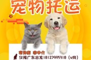 宠物可以寄快递吗有什么条件(哪个快递公司可以寄宠物)