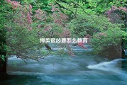 博美很凶要怎么教育
