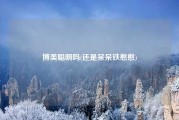 博美聪明吗(还是呆呆铁憨憨)