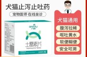 狗翻肠子什么症状吃啥药,小狗翻肠子几天能挺过来