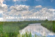 博美狗的尾巴不翘了（快速解决方法分享）
