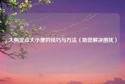 大狗定点大小便的技巧与方法（助您解决困扰）